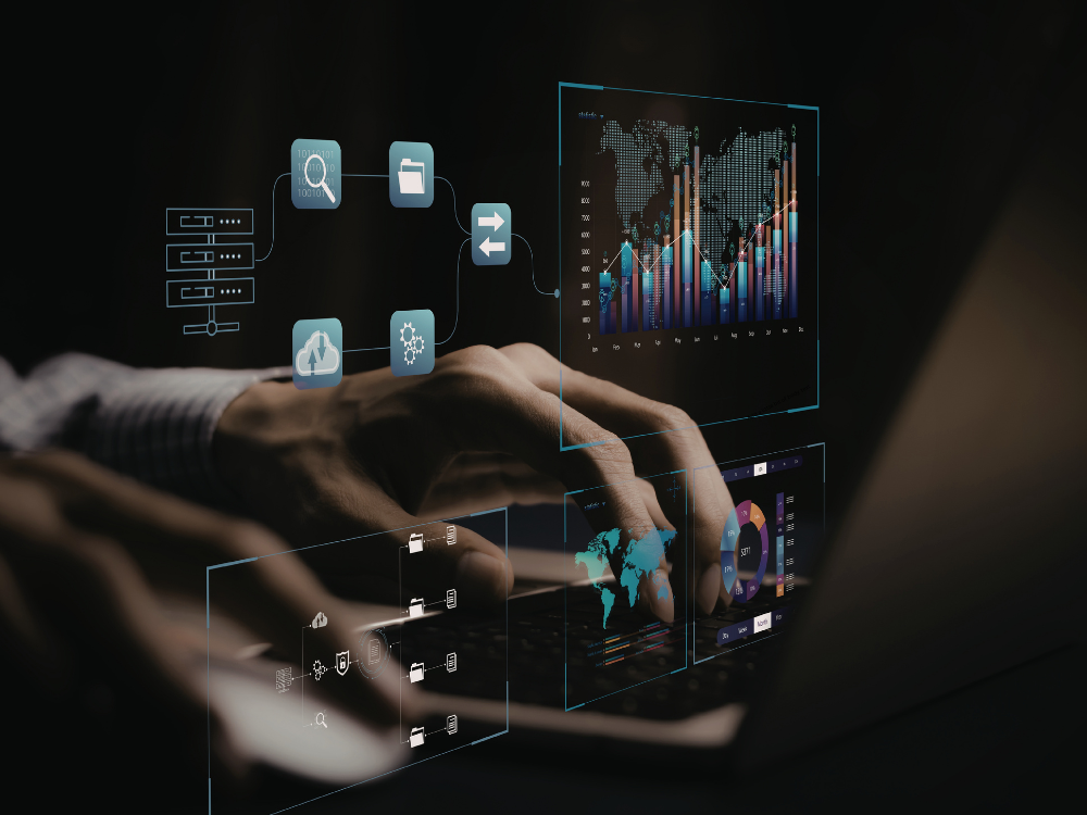 Port Moody SEO optimization RankFly Digital