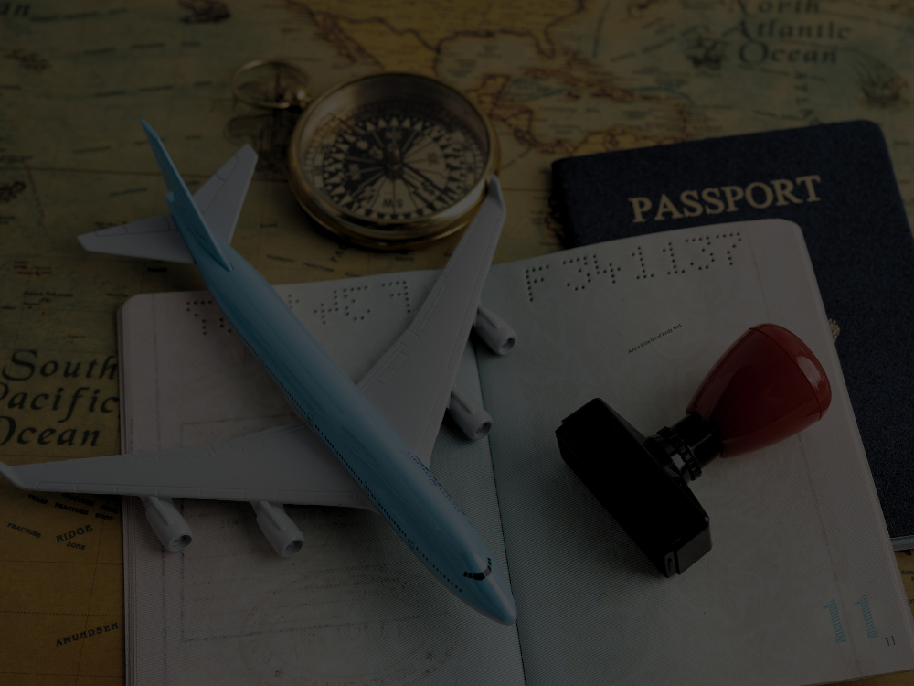 Visa consultant website design project by RankFly Coquitlam