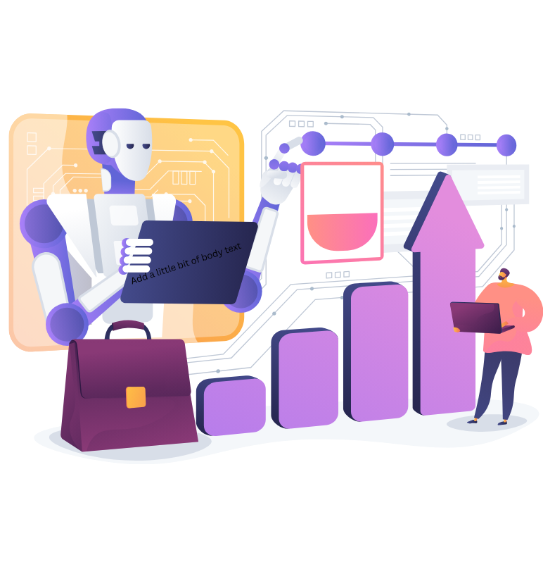 Web design company in Port Moody RankFly Digital